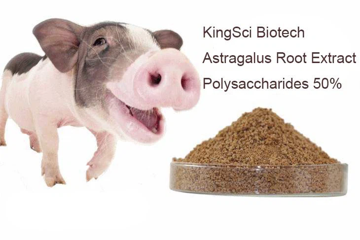 Astragalus Polysaccharides