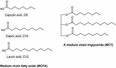 MCT Powder