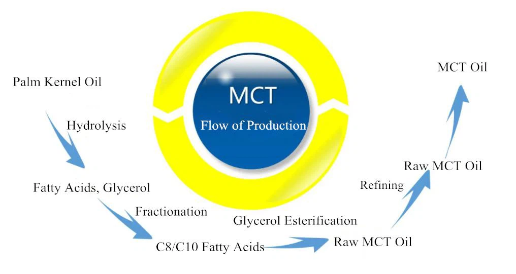 Flow of production of MCT