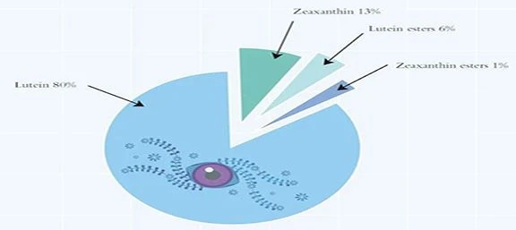 Welche Lebensmittel sind reich an Zeaxanthin?