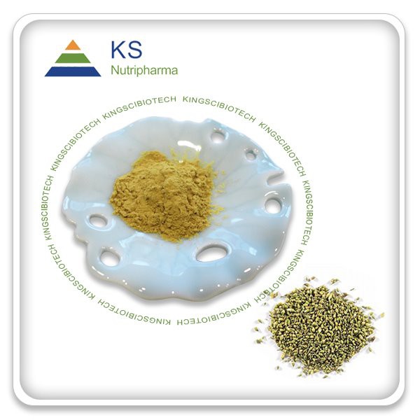 Reines Quercetin-Pulver