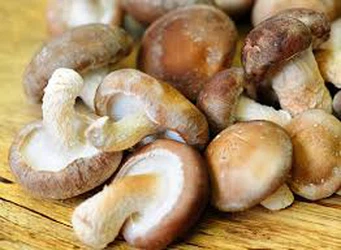 news-262-192 news-262-192