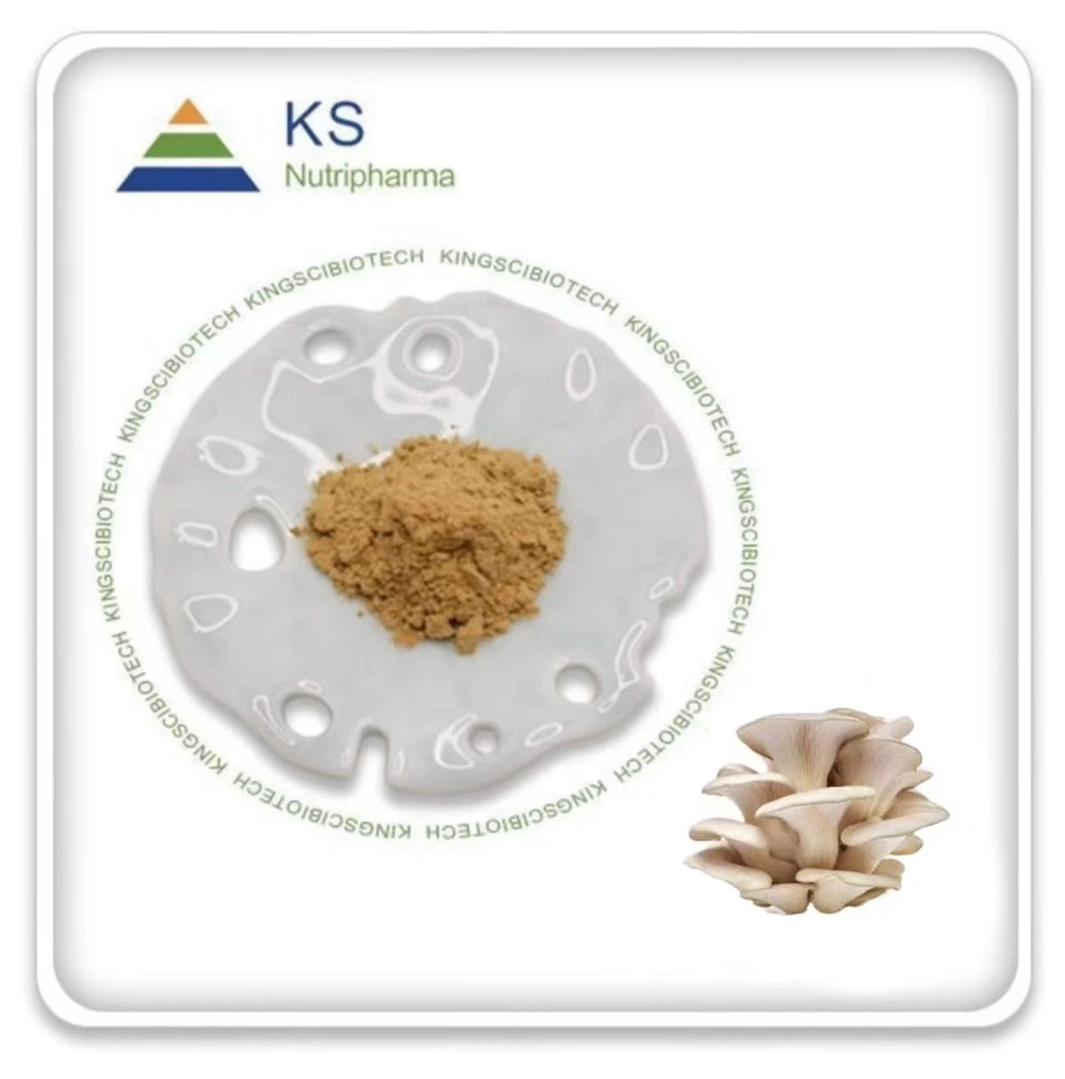 Pleurotus Ostreatus-Extrakt