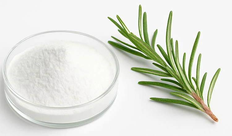 Ursolic-Acid-Powder Ursolic-Acid-Powder