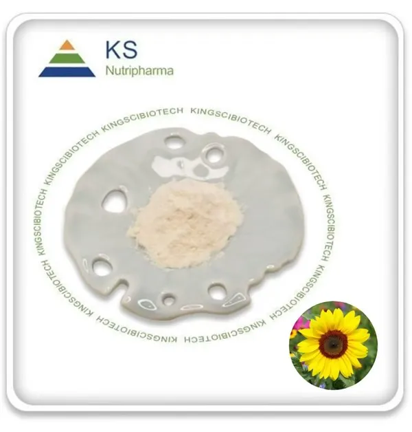 Reines Phosphatidylserinpulver